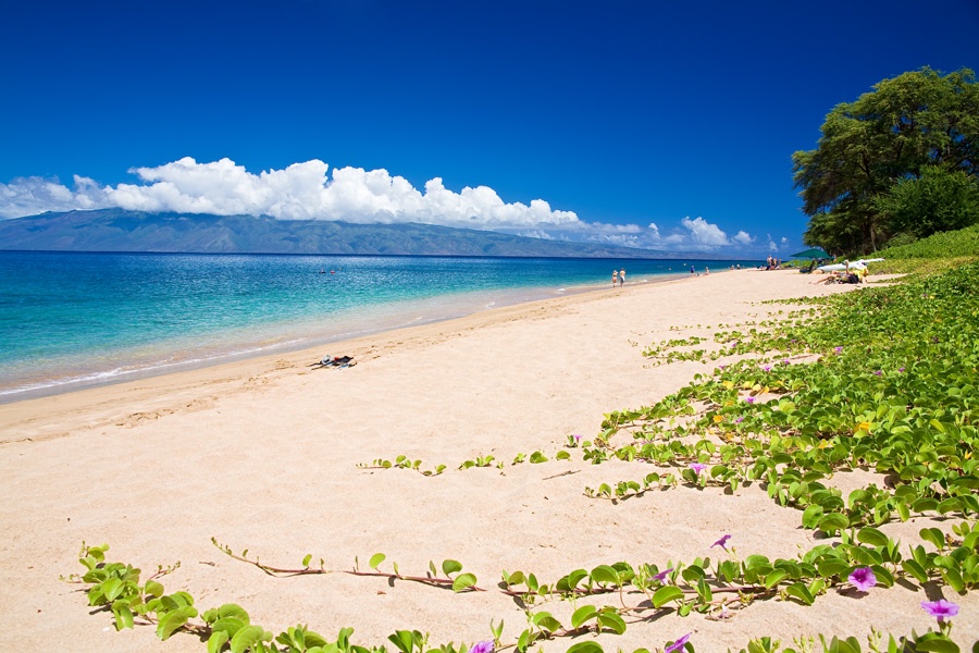 Kapalua Vacation Rentals, Ocean Dreams Premier Ocean Grand Residence 2203 at Montage Kapalua Bay* - Kahekili Beach Park on Ka'anapali Beach