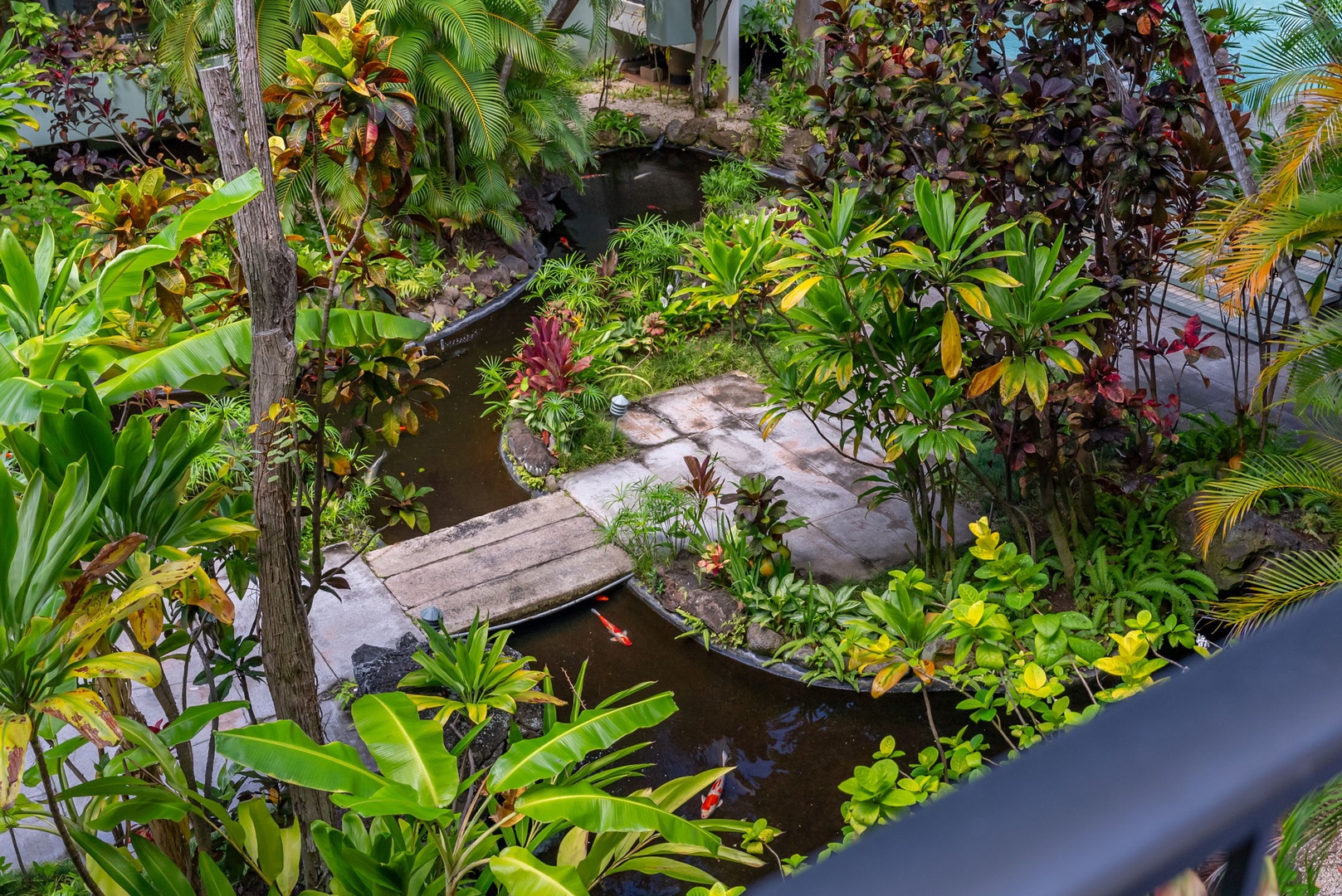 Honolulu Vacation Rentals, Kahala Beachfront Villa - The garden view from the lanai.