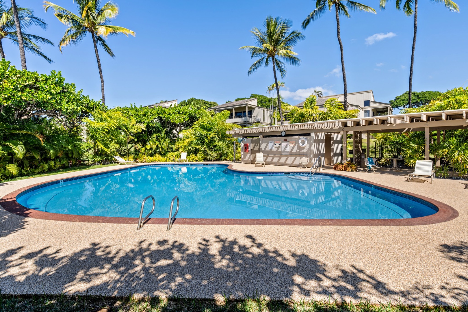 Kihei Vacation Rentals, Wailea Ekolu 204 - Palm shadows stretch across the pool deck by midday, tall coconut palms framing the shared kidney-shaped pool.
