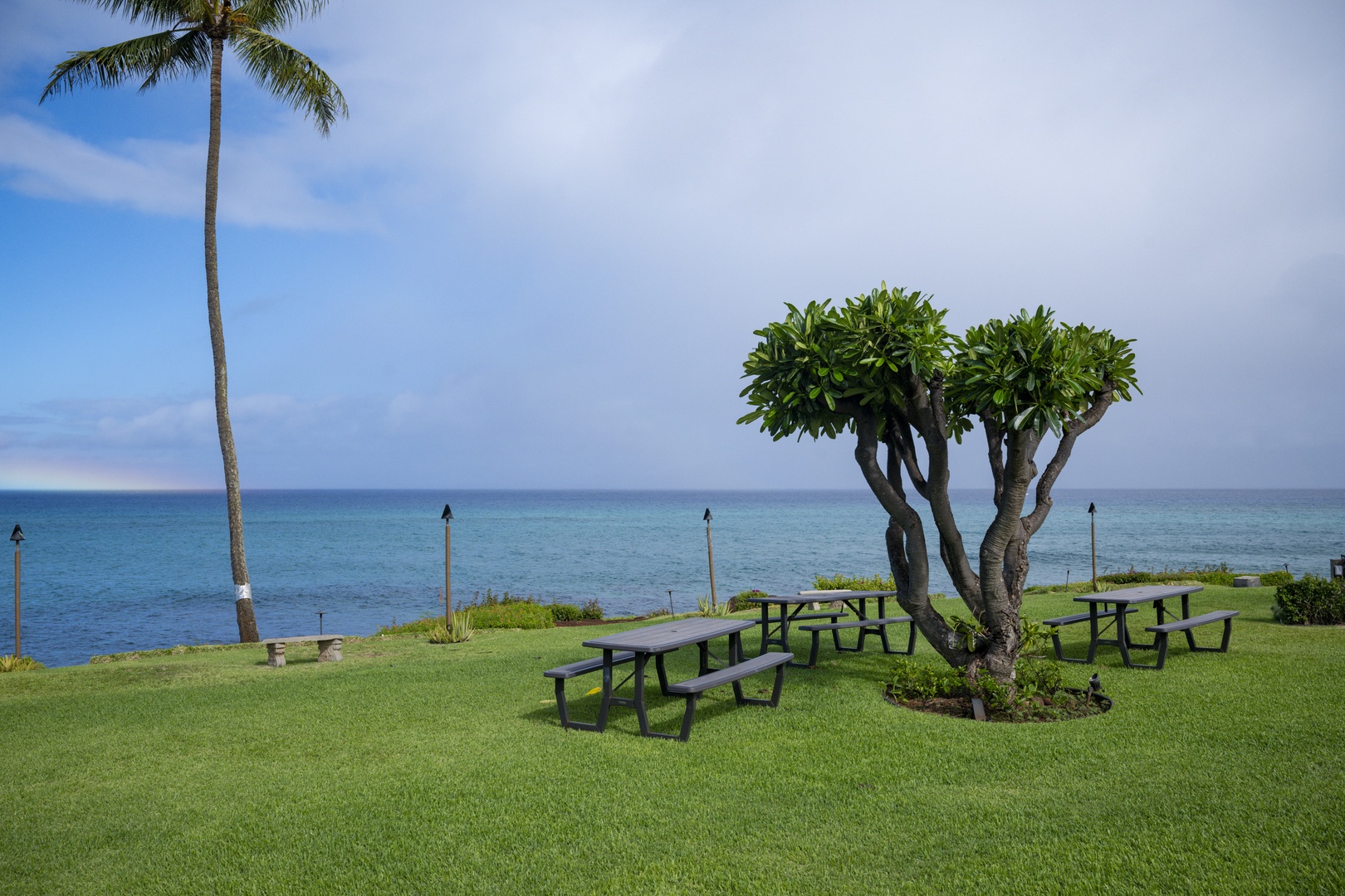 Lahaina Vacation Rentals, Polynesian Shores 114 - Take lunch to the picnic tables on the lawn, ocean stretching past the grass.