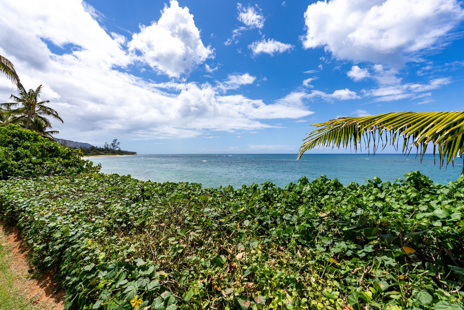 Waialua Vacation Rentals, Mokuleia Beach Villa** - Enjoy the ocean views from the backyard.