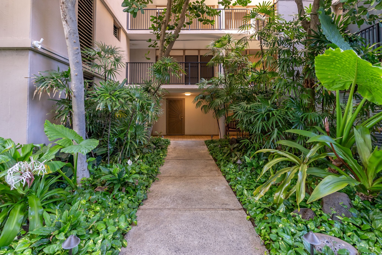 Honolulu Vacation Rentals, Kaimana Views - Lush garden path surrounded by tropical greenery, leading you into a serene island escape