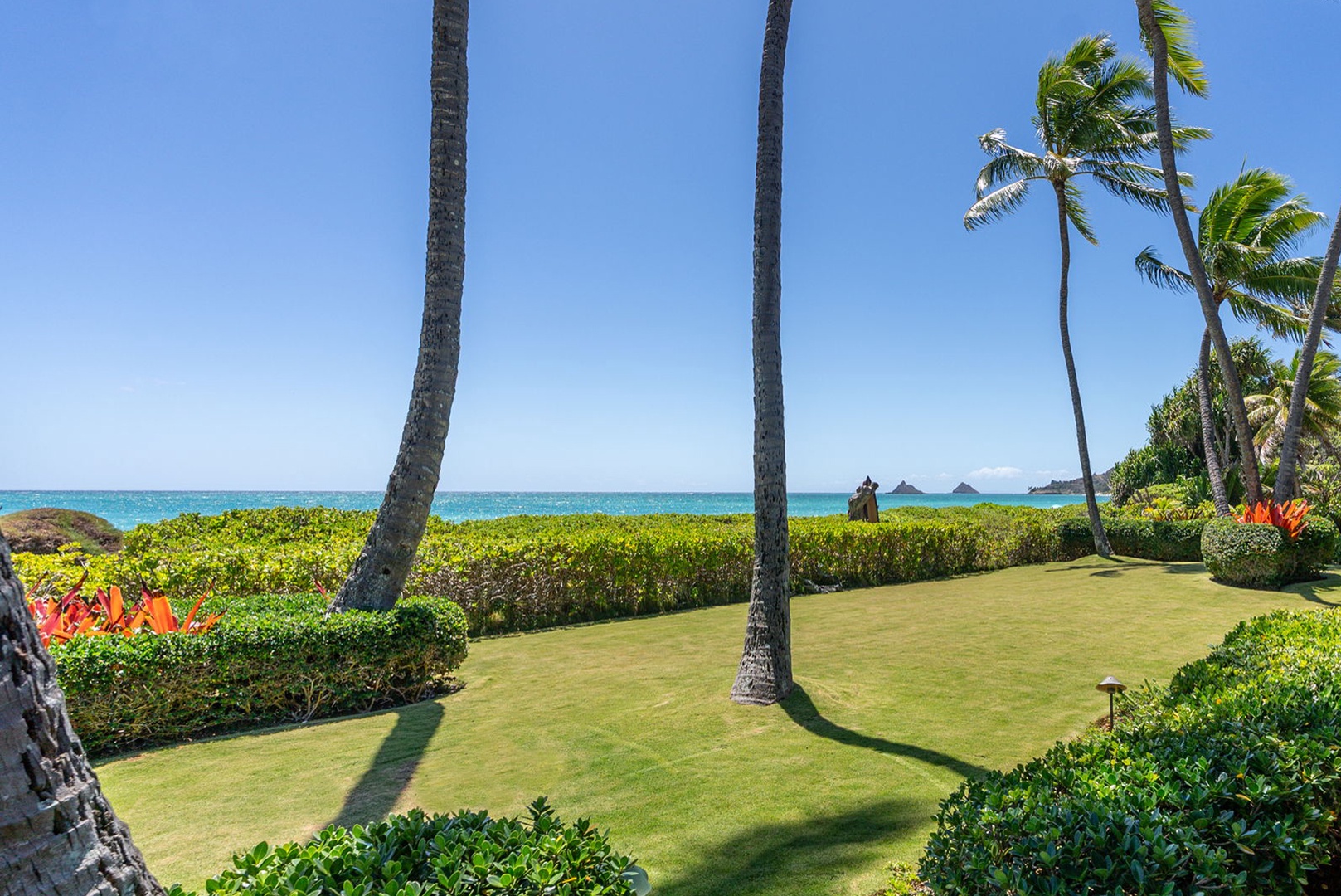 Kailua Vacation Rentals, Kailua Sands - Palm-lined yard with turquoise water beyond.