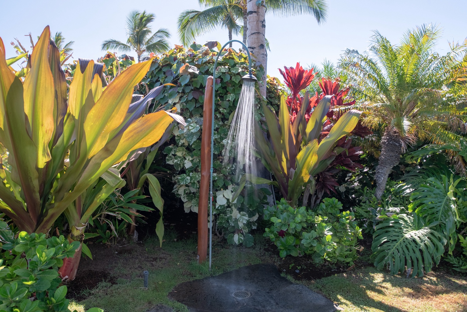 Waikoloa Vacation Rentals, 3BD Hali'i Kai (12G) at Waikoloa Resort - Outdoor shower by the pool surrounded by colorful tropical foliage