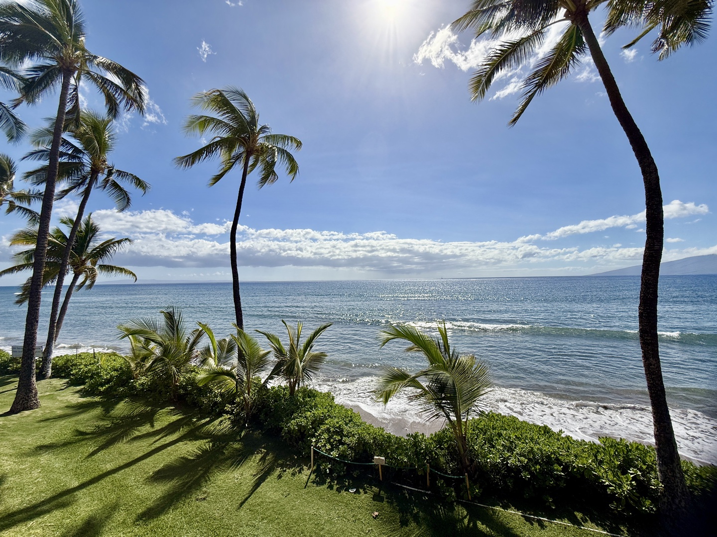 Lahaina Vacation Rentals, Puamana 254-2 - Peaceful ocean view with palms and a grassy shoreline—perfect for quiet moments by the water.