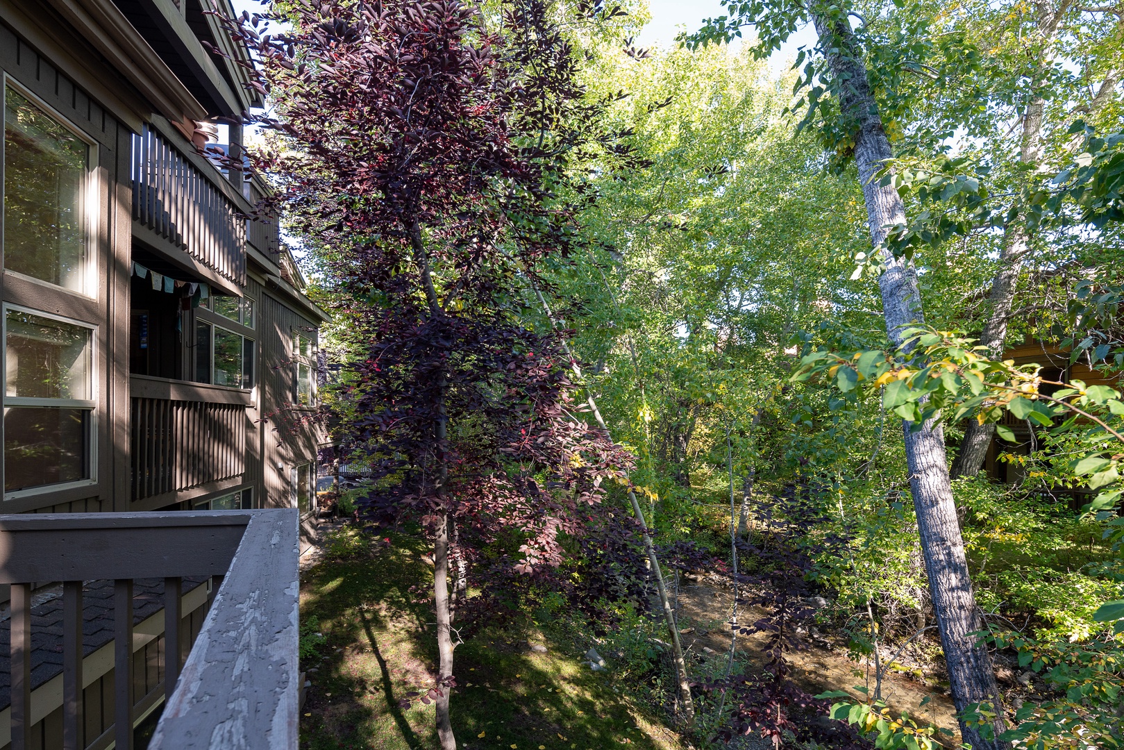 Ketchum Vacation Rentals, Bridgepoint Charm - Lush forest views off the private deck