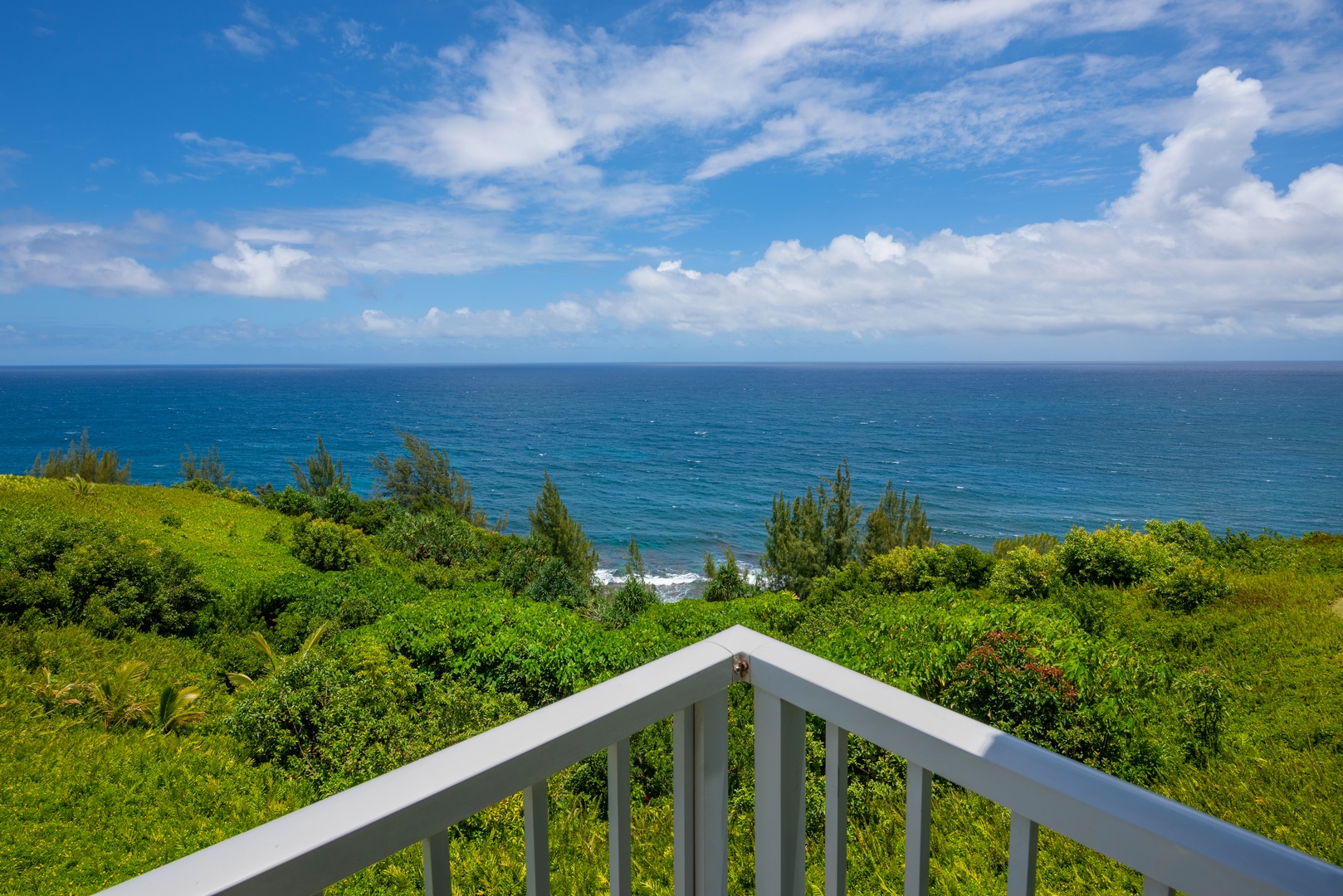 Princeville Vacation Rentals, Moana Kai - From the corner railing, the coastline bends away in both directions at once.