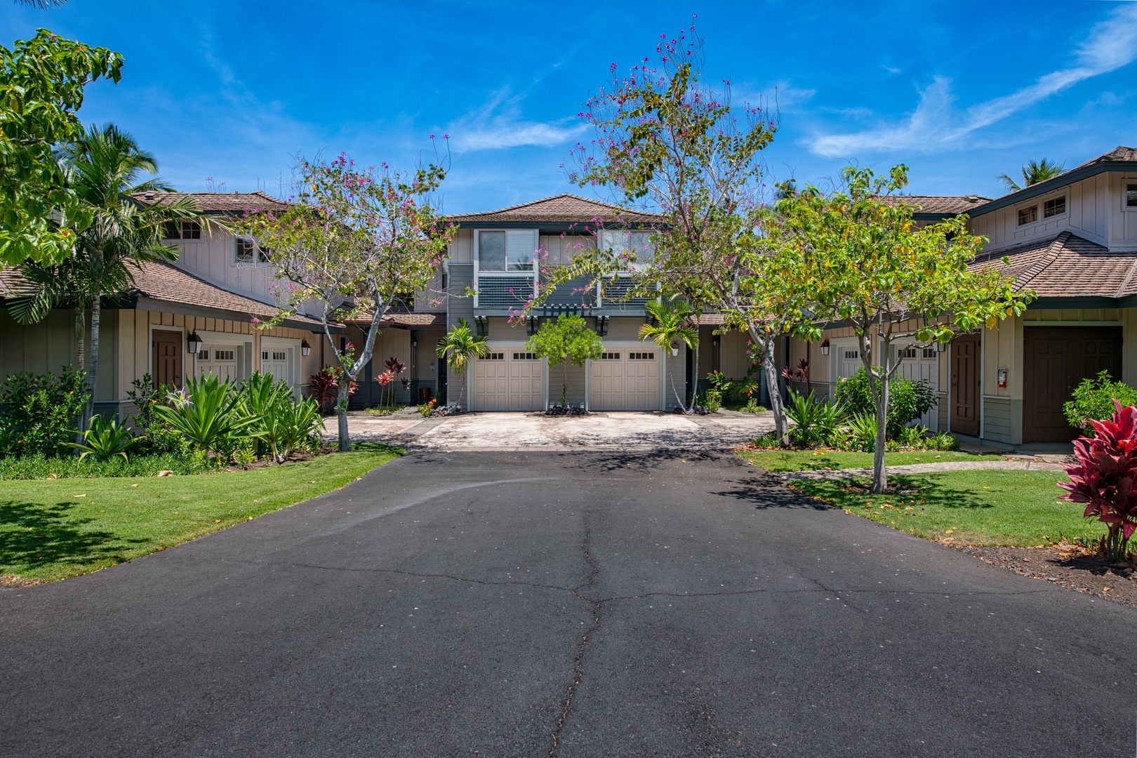 Kamuela Vacation Rentals, Palm View Villa - Road to the house