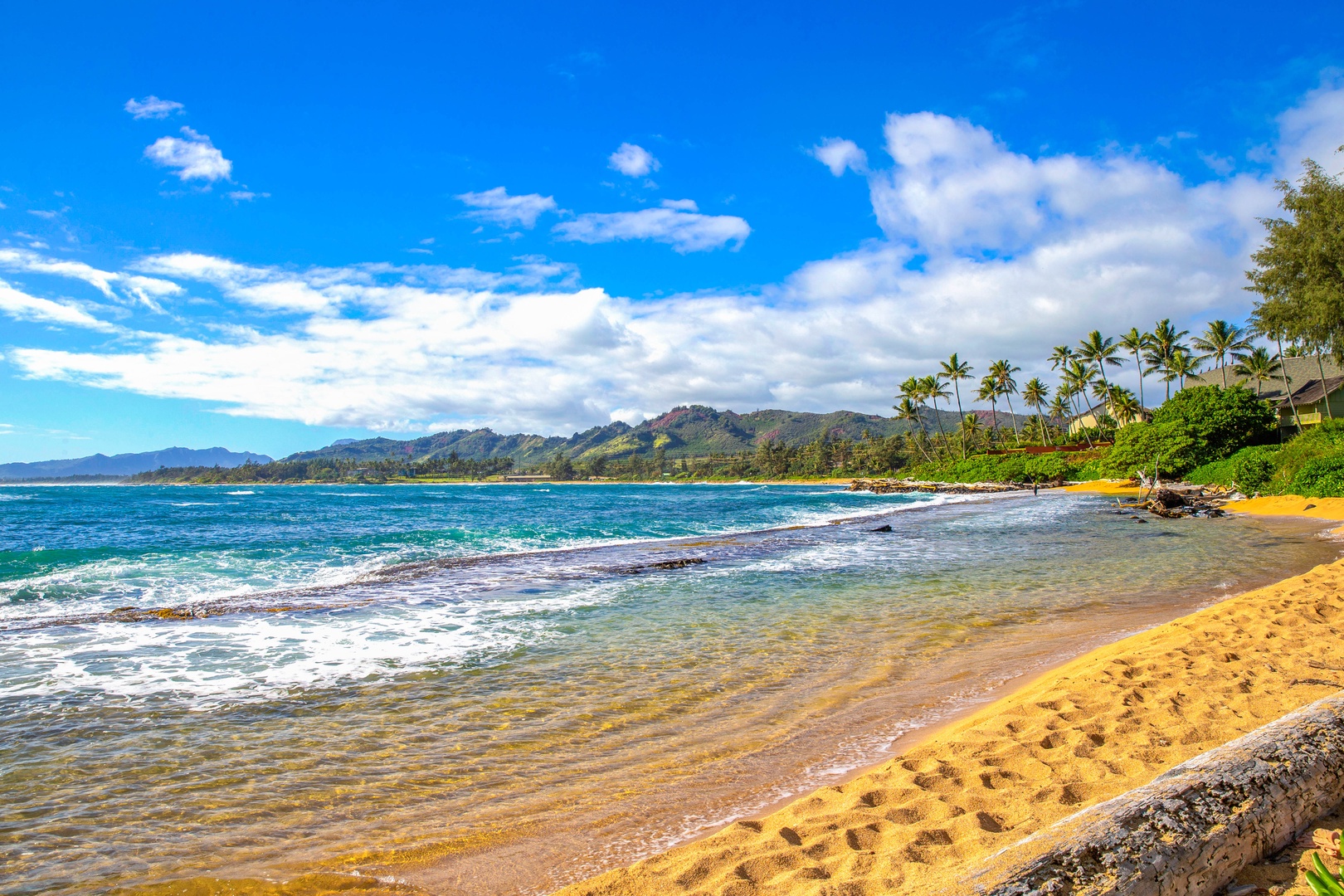 Kapa'a Vacation Rentals, Islander on the Beach #232 - Take a morning stroll down the beach, just a few steps from your home.