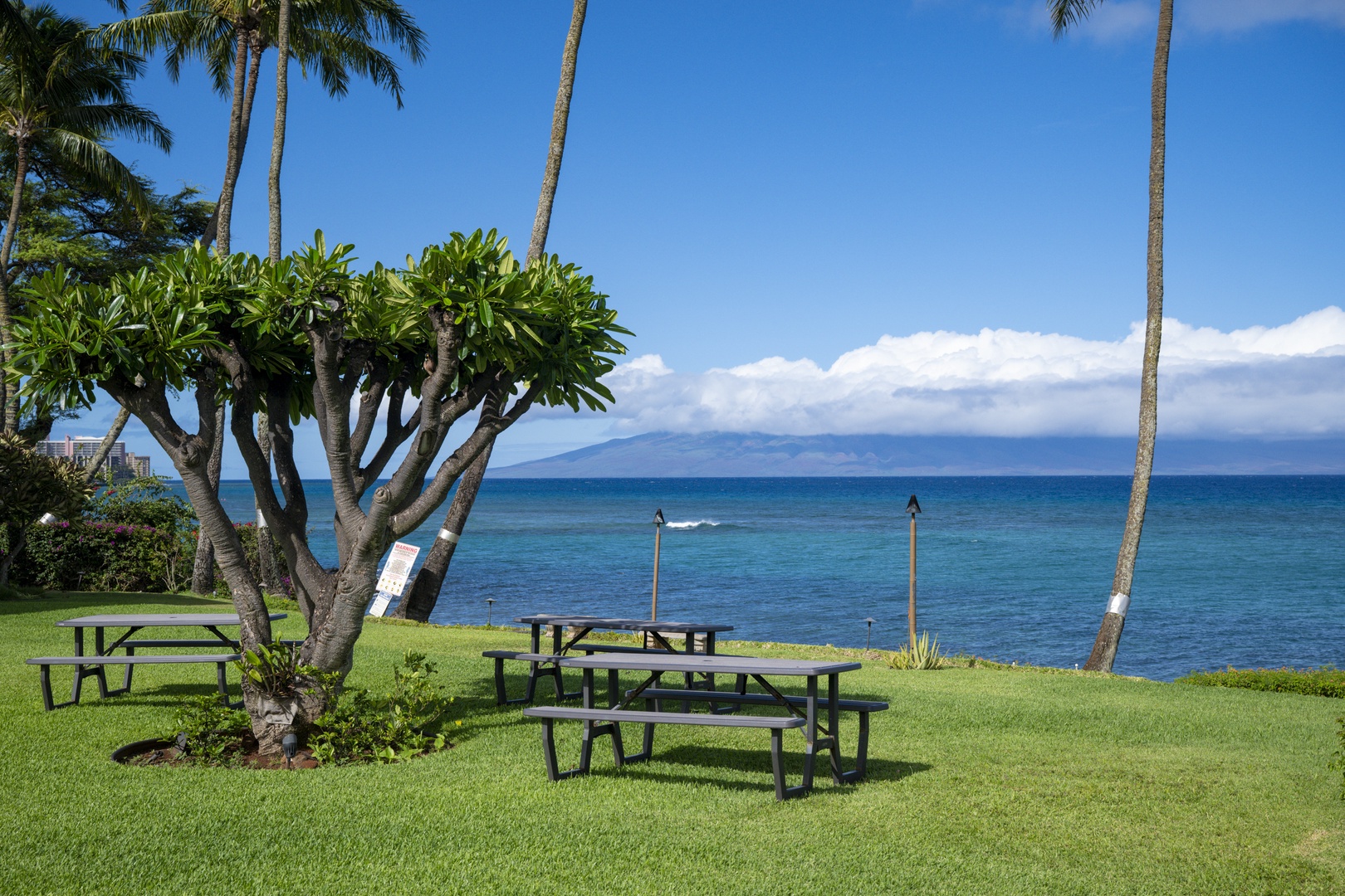 Lahaina Vacation Rentals, Polynesian Shores 114 - Spread out at a picnic table on the oceanfront lawn, an island low on the horizon.