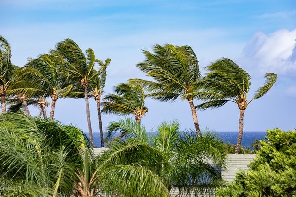 Kamuela Vacation Rentals, Canoe House & Beach Walker at Champion Ridge - Views.
