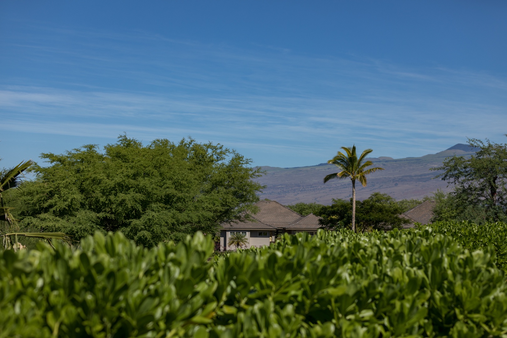 Kamuela Vacation Rentals, Mauna Lani KaMilo #407 - Beautiful view of Kohala Mountains from primary bedroom.