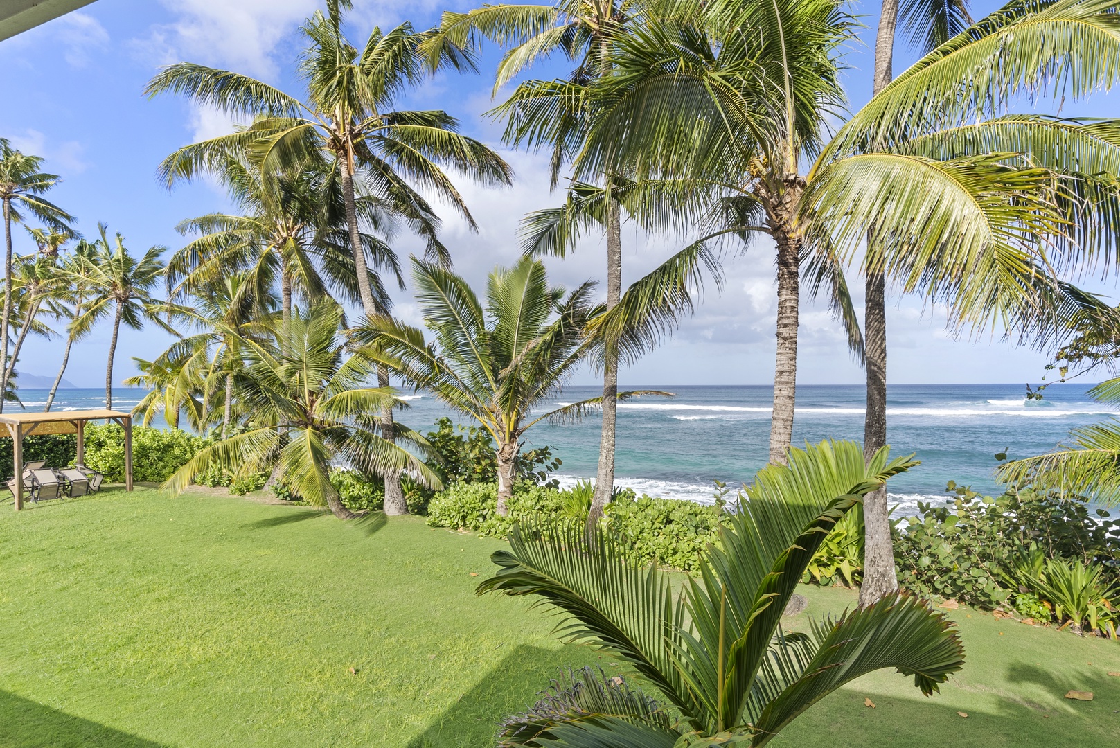 Haleiwa Vacation Rentals, North Shore Beachfront Resort - Serene garden area with tall palm trees and a view of the sparkling blue sea.