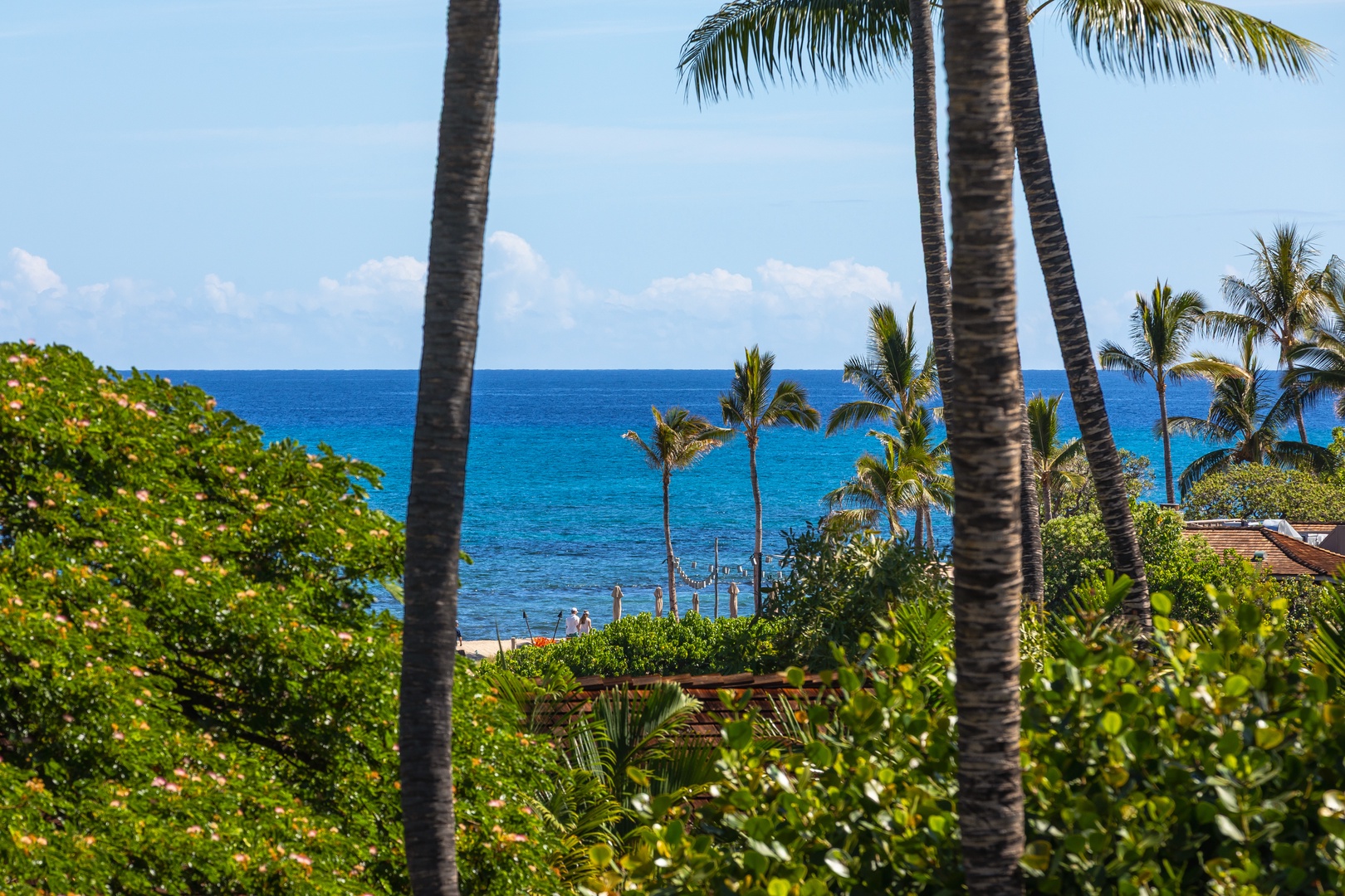 Kailua Kona Vacation Rentals, 2BD Hillside Villa (4102) at Hualalai Resort - Ocean view framed by palms and cobalt blue waters.