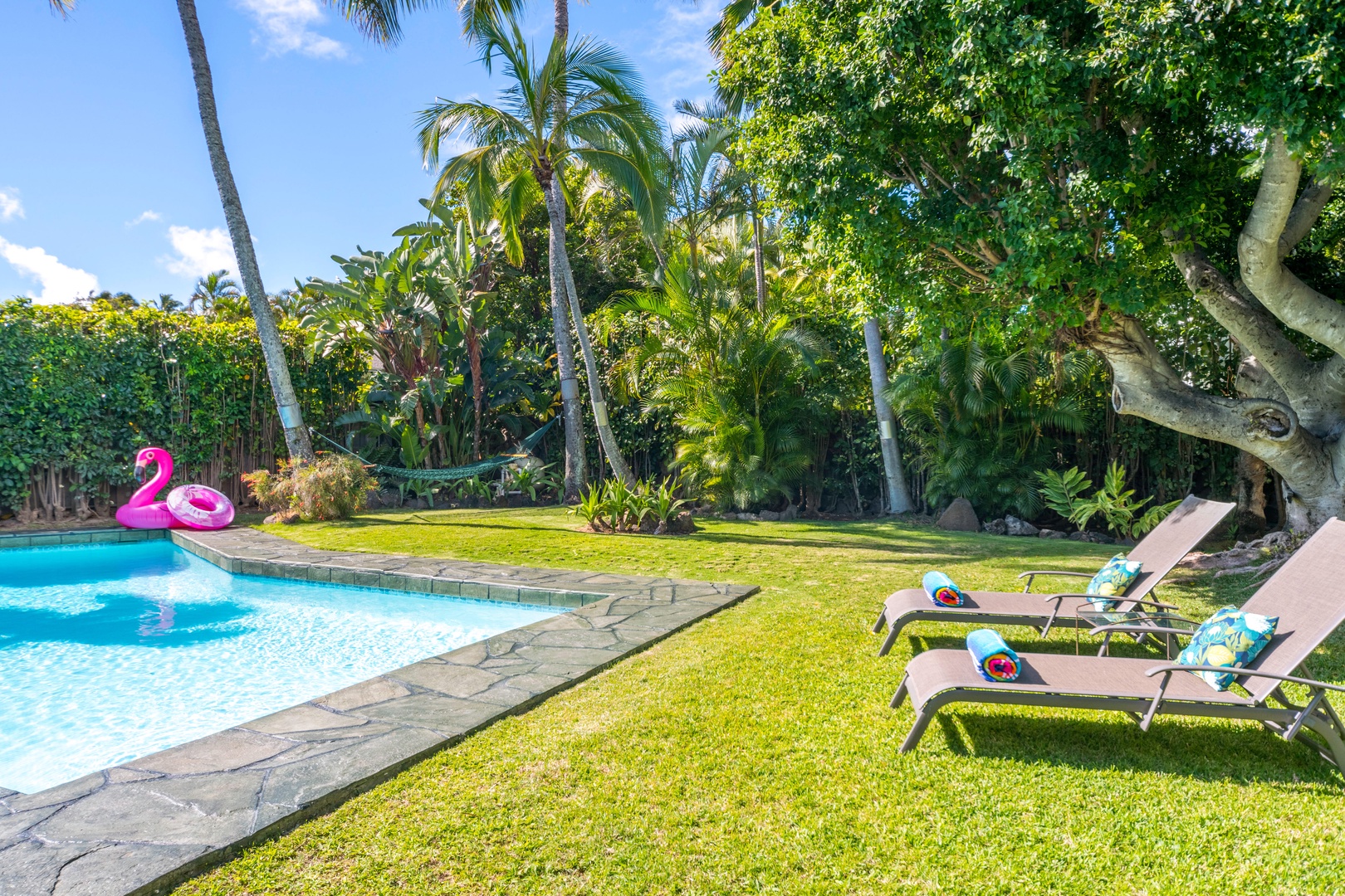 Honolulu Vacation Rentals, Hale Niuiki - Grab a cocktail or sparkling water and lounge poolside!