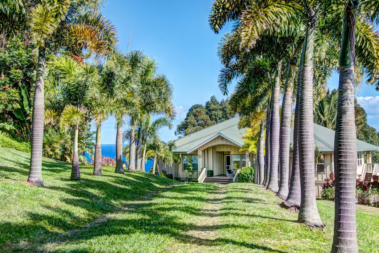 Honokaa Vacation Rentals, Hale Luana (Big Island) - The gorgeous palm lined driveway welcomes you to your home away from home
