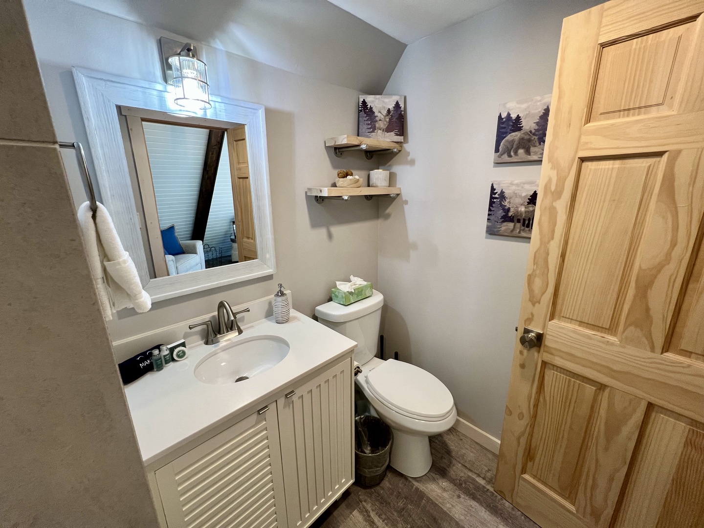 Lower Level Full Bathroom