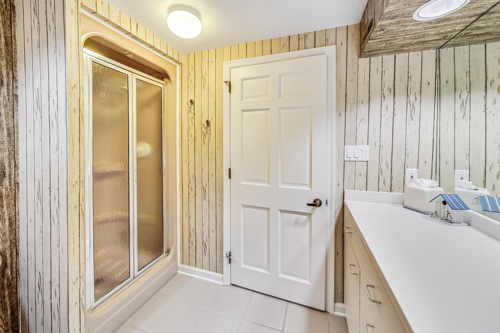 Lower Level Bathroom with Walk-in Shower