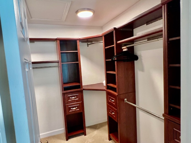 Primary Bedroom - Walk-in Closet