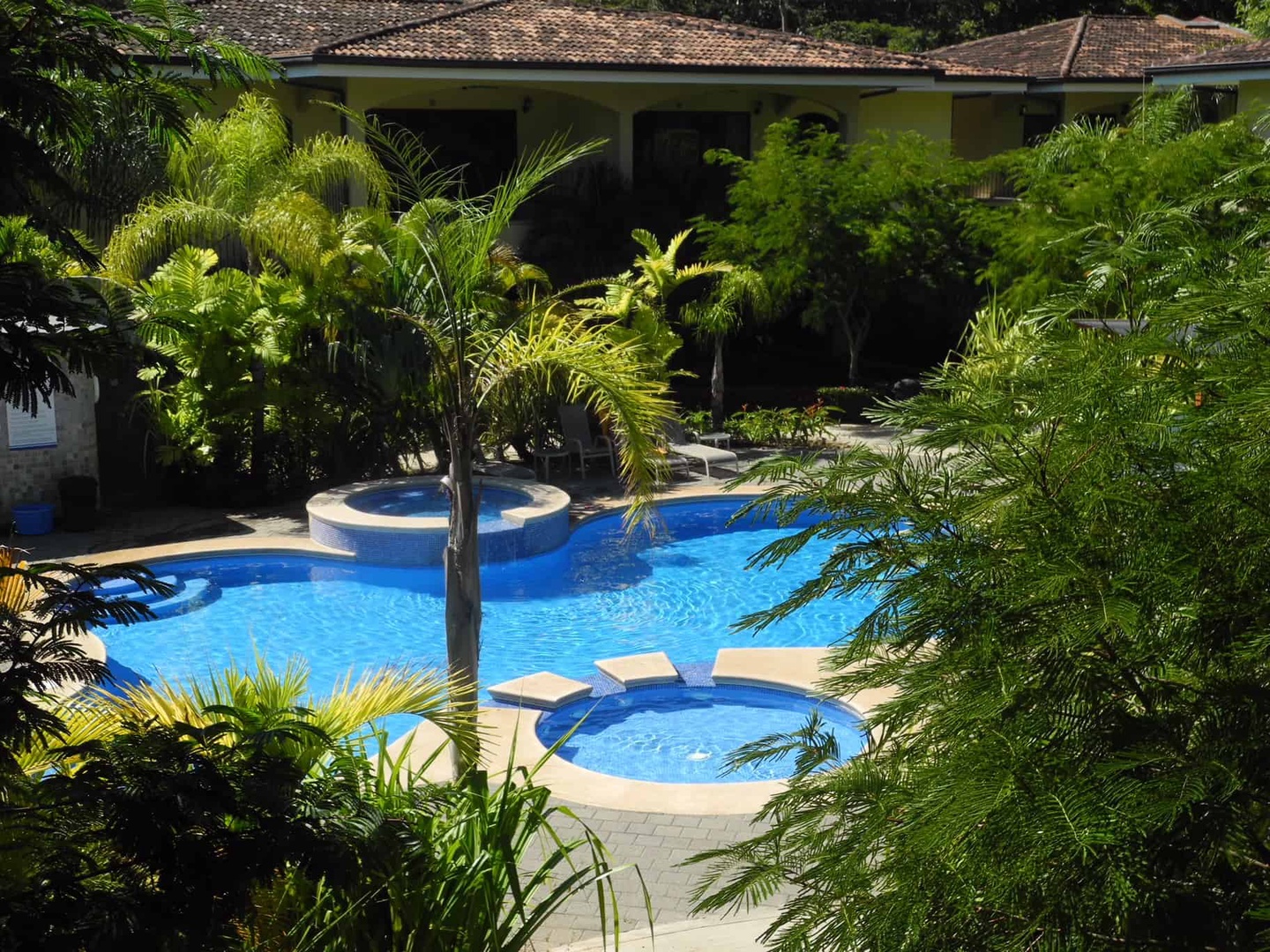 Palm Tree Resort w/ Pool, 5 Min Walk to 3 Beaches!