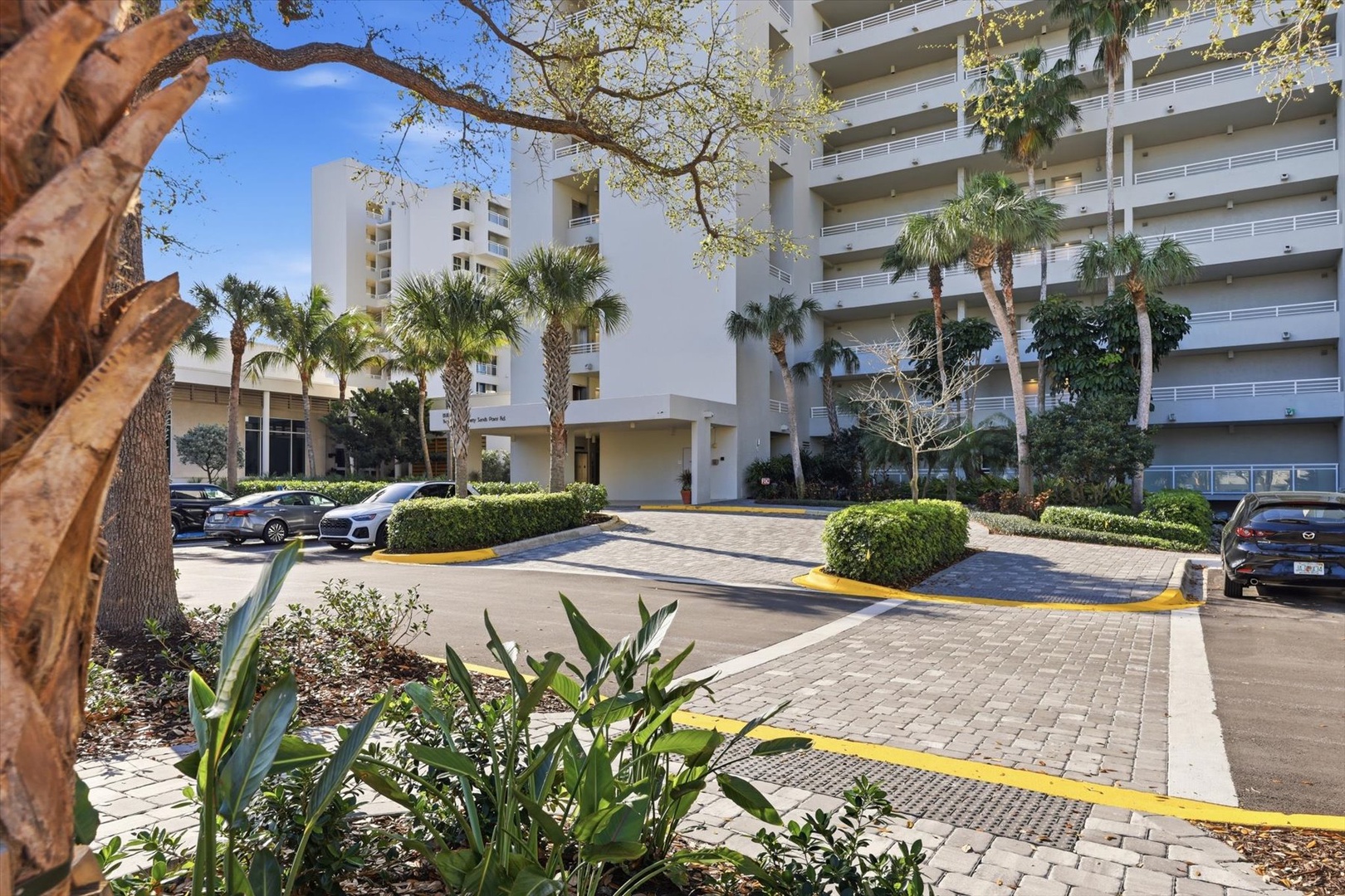 Multi-story property buildings surrounded by mature palm trees and tropical landscaping create a welcoming arrival experience.