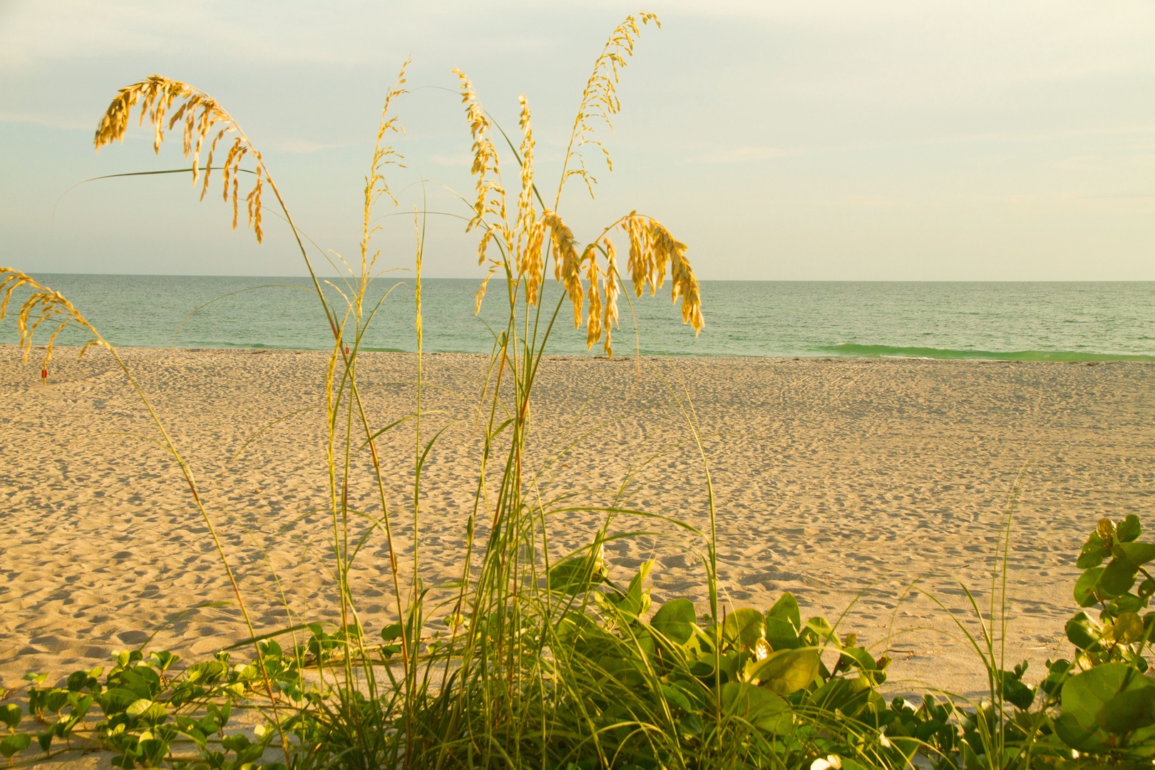 577 Sutton PL by FVC - Private Gulf Beach