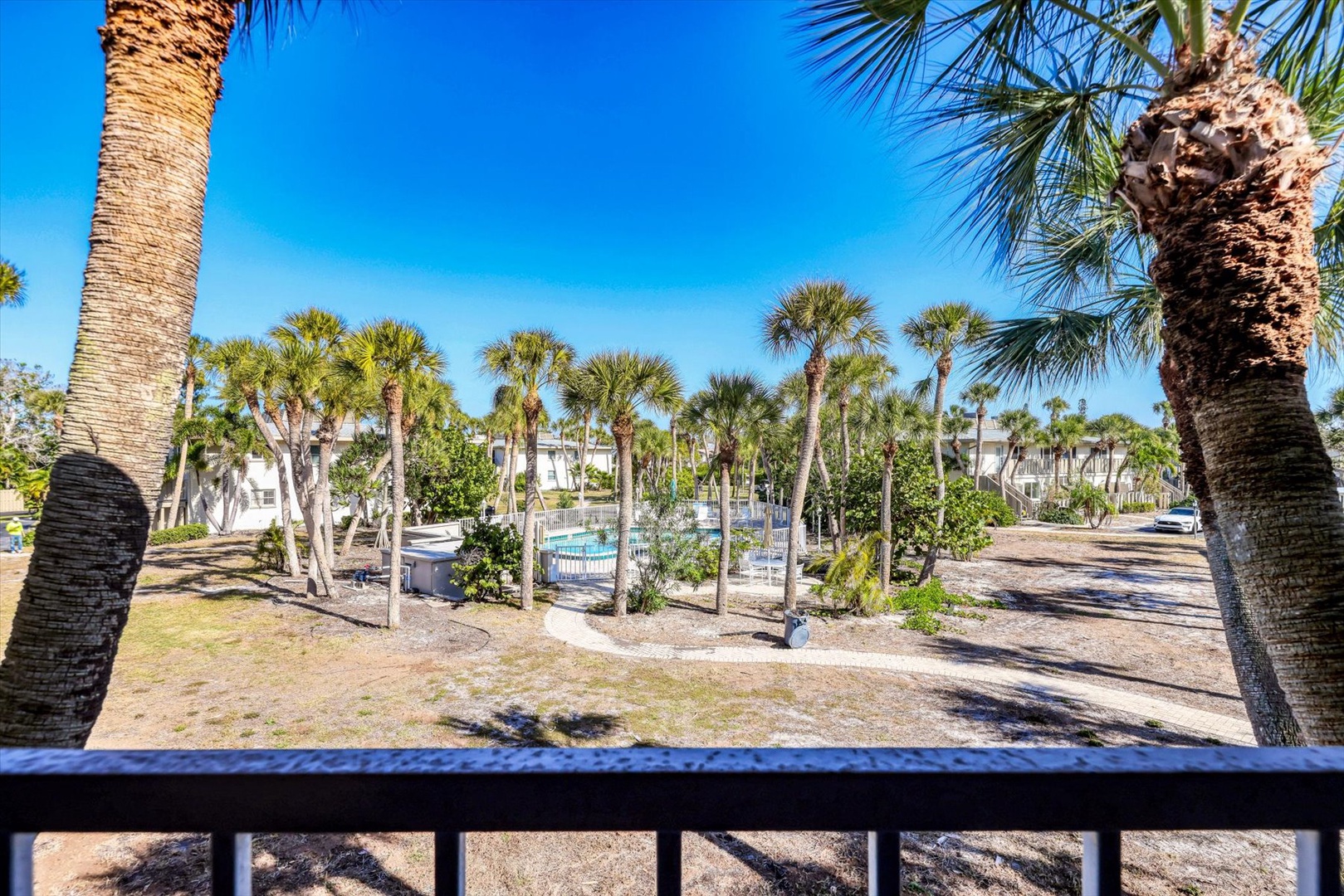 Tropical paradise view featuring lush palm trees, sparkling pool, and resort-style landscaping under brilliant blue skies.