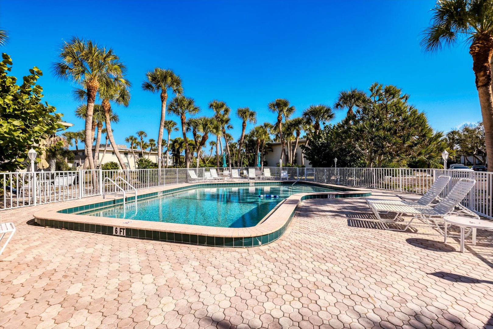 Tropical paradise awaits with crystal-clear pool waters surrounded by swaying palms under endless blue skies.