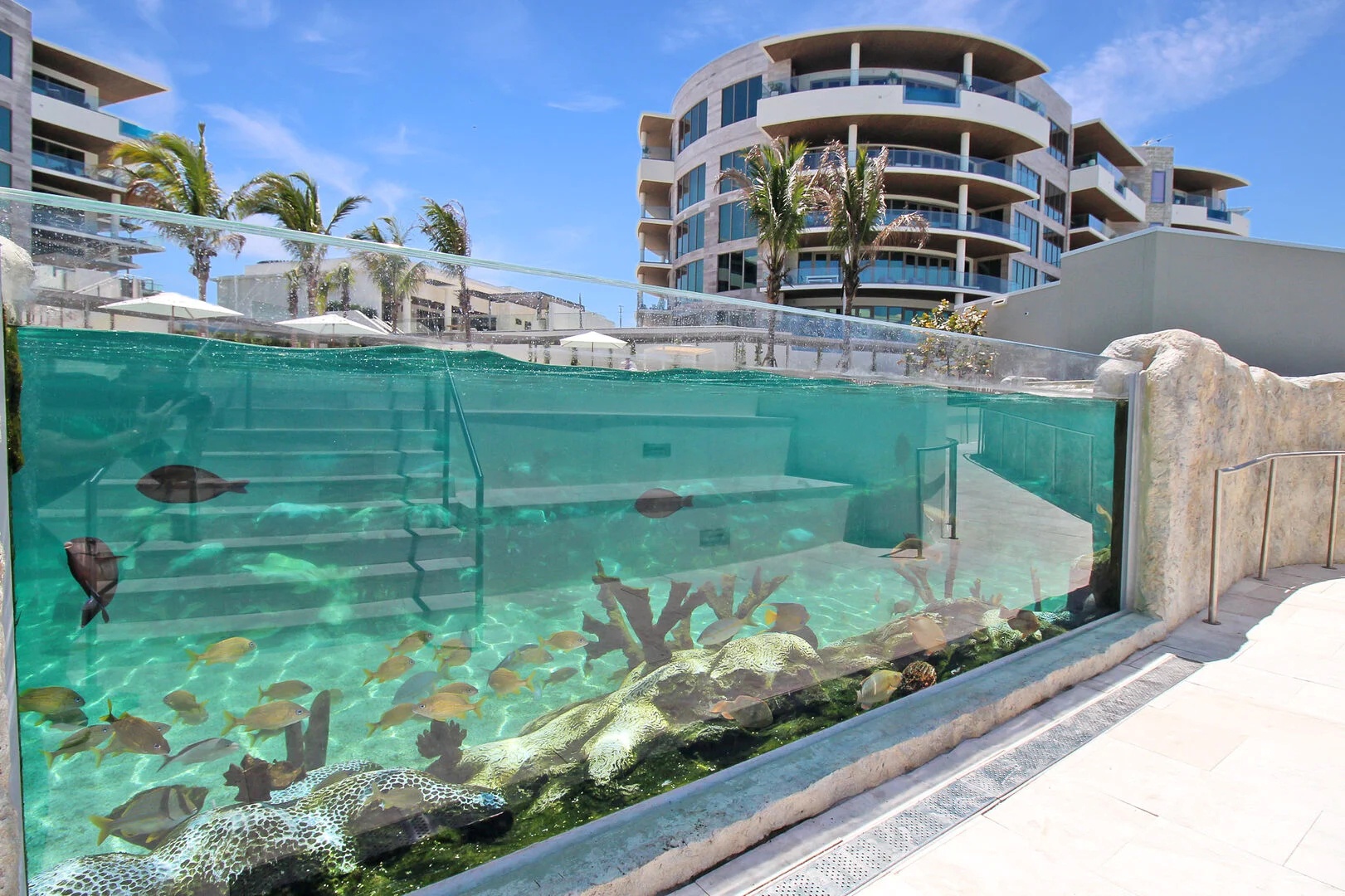 St. Regis Residences by FVC - Coral Reef Experience