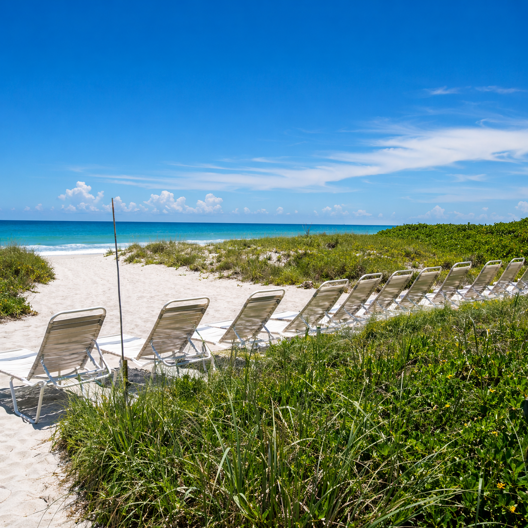 Sunny coastal beach with lounge chairs