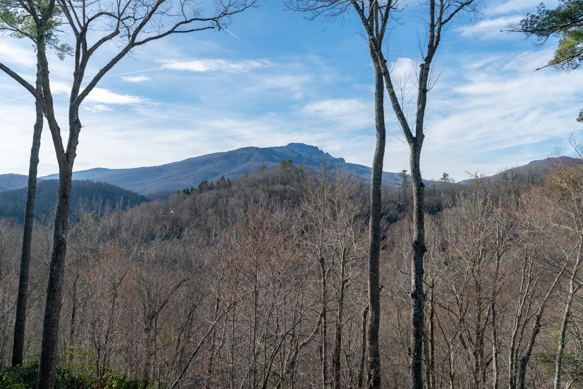 Grandfather Mountain View