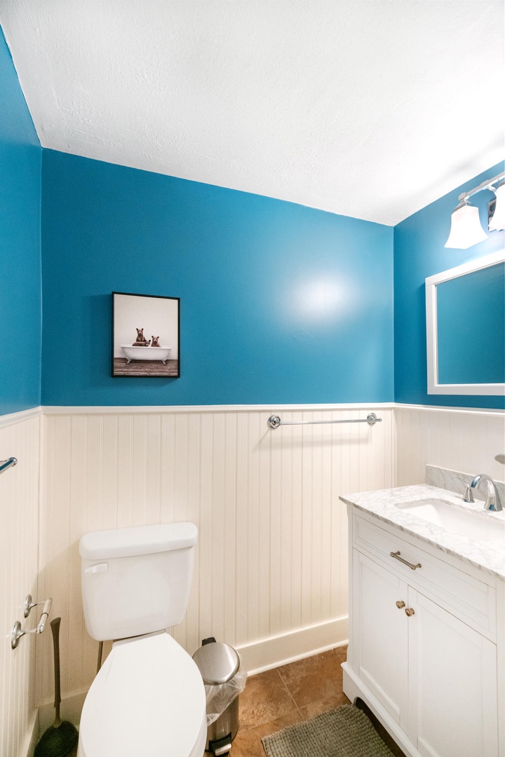 Guest Bathroom---Downstairs