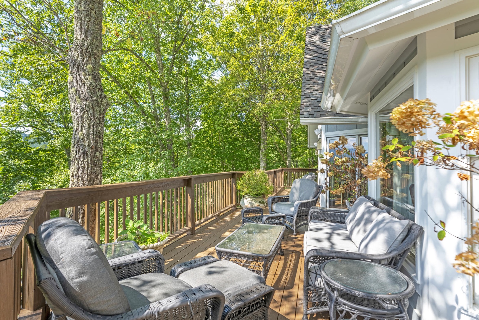 Outdoor Seating with Wooded Surroundings