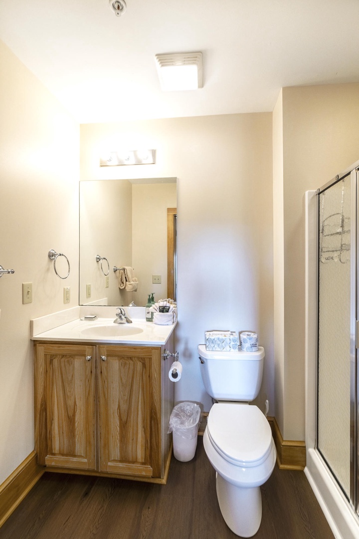 Guest Bathroom---Downstairs