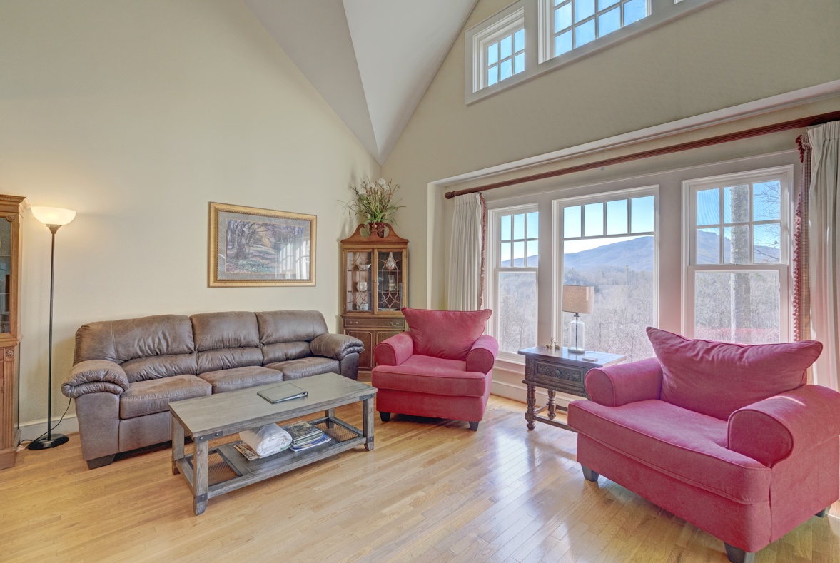 Living Room--- Mountain View