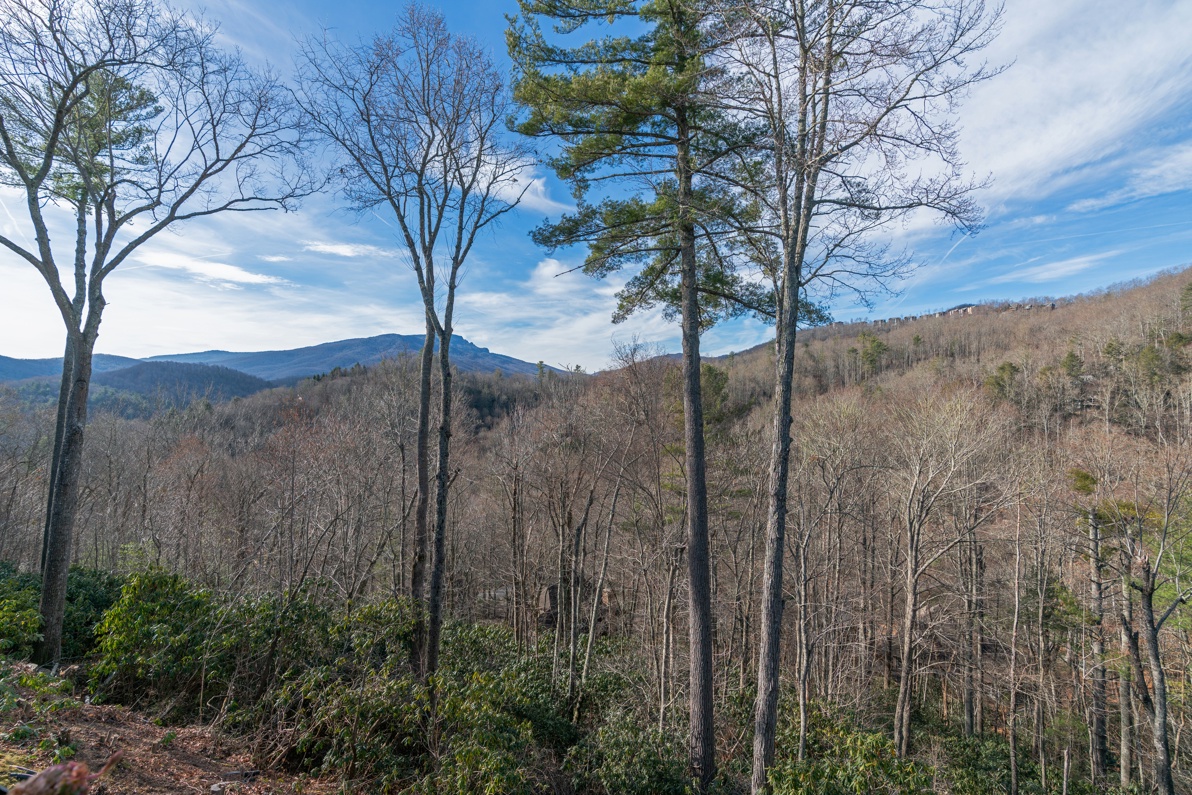 Grandfather Mountain View
