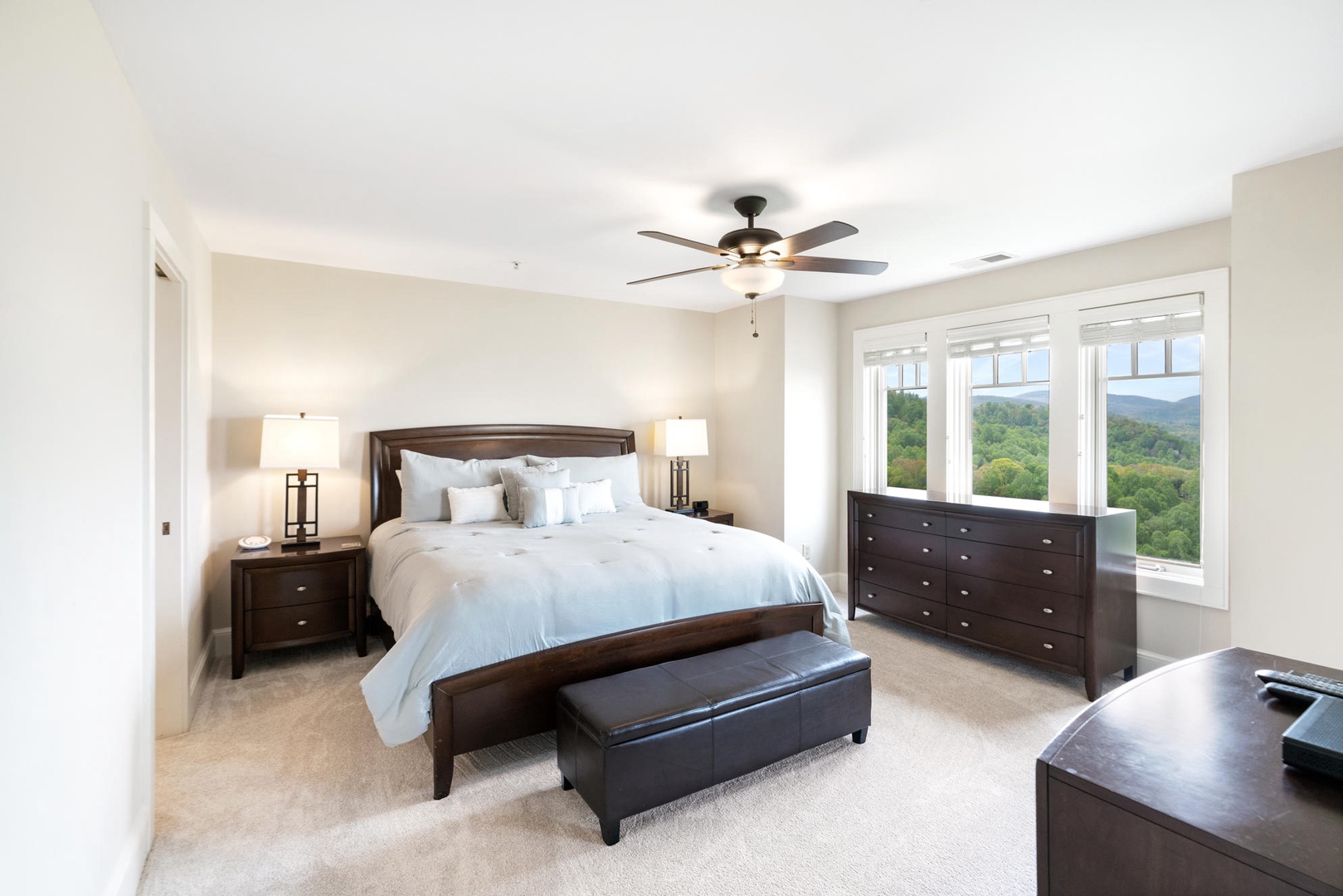 Primary Bedroom---King Size Bed, Mountain View
