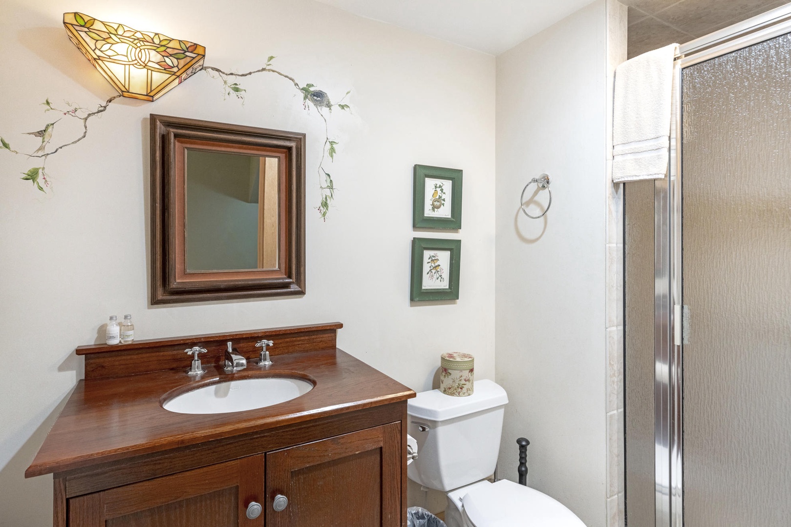 Guest Bathroom---Downstairs, Shower