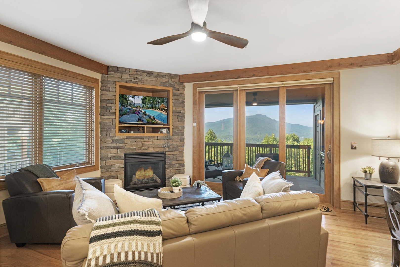 Living Room---Mountain View, Television, Gas Logs