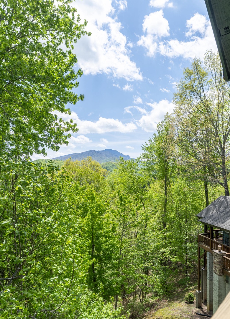 Grandfather Mountain View in the Spring