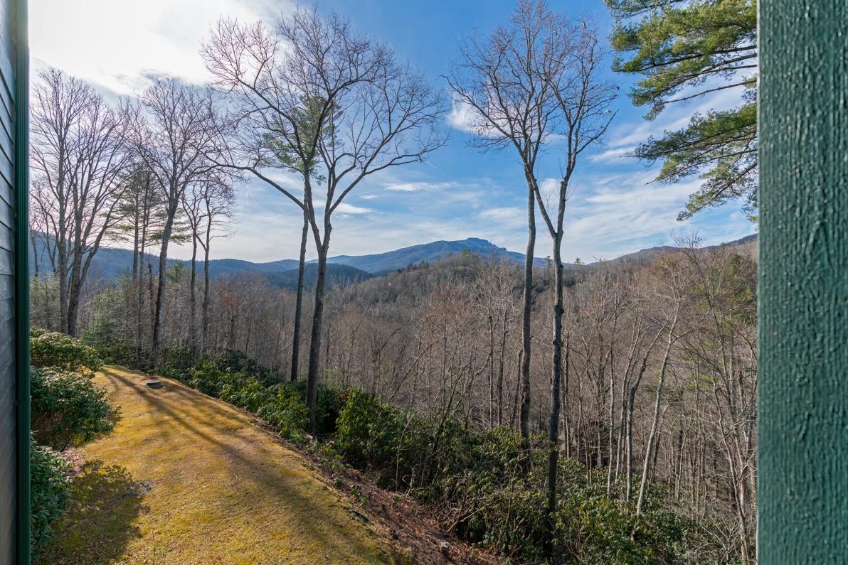 Grandfather Mountain View