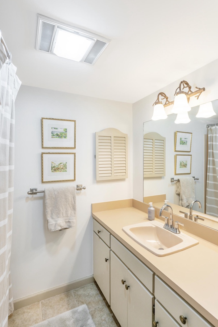 Guest Bathroom---Downstairs