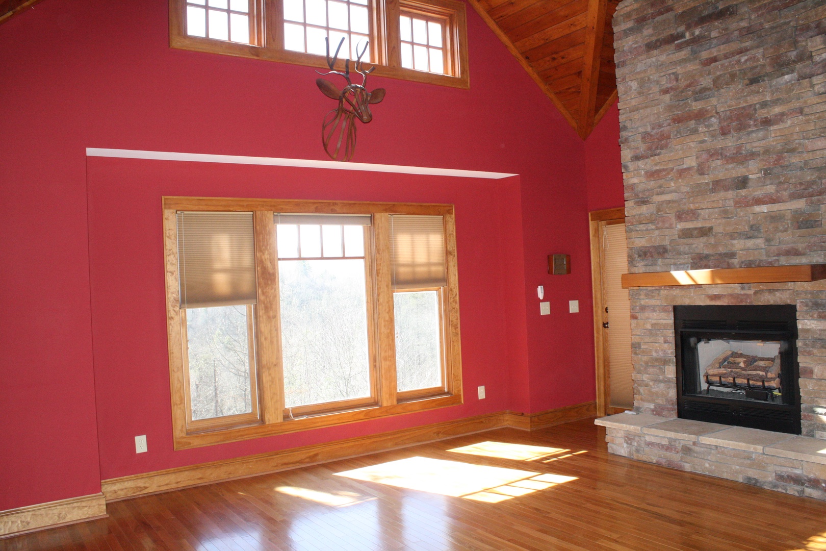 Living Room Area with Gas Log Fireplace