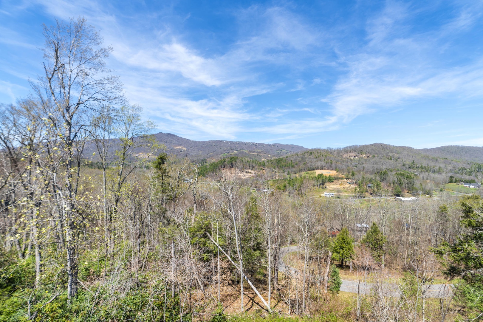 Springtime View