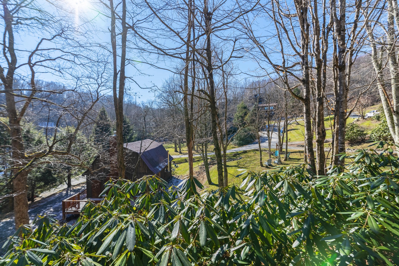 View from Front Porch