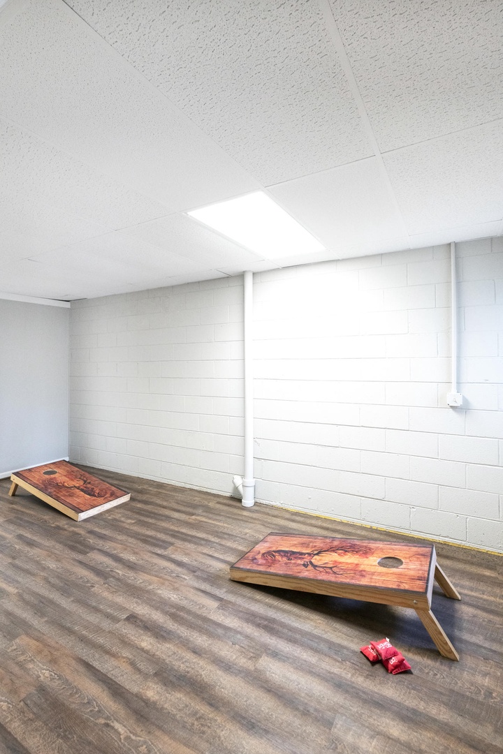 Rec Room---Cornhole Boards