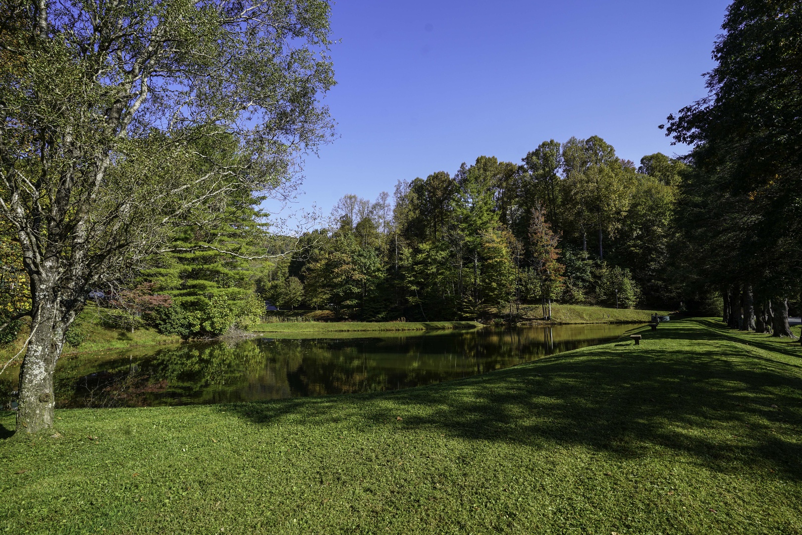 A serene pond surrounded by lush lawns and towering trees creates a peaceful natural setting on the property grounds.