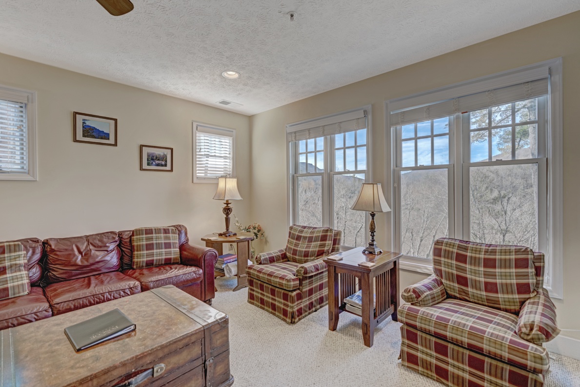 Living Room--- Mountain View/Lots of Light