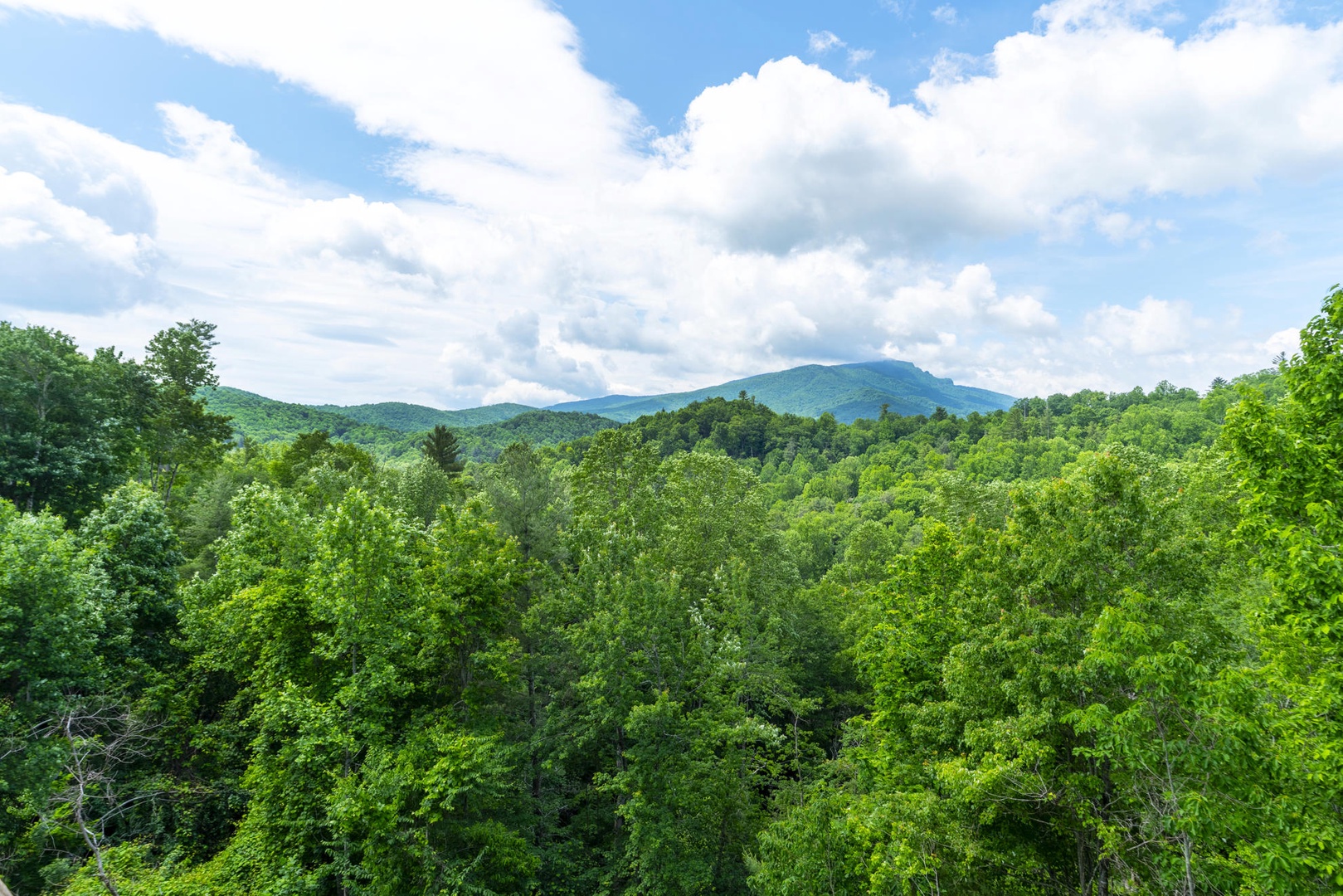 Grandfather Mountain View