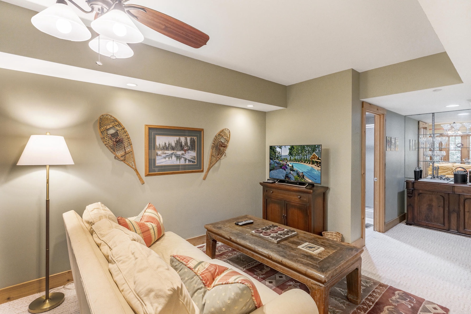 Living Area---Downstairs, Television